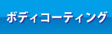 ボディコーティング